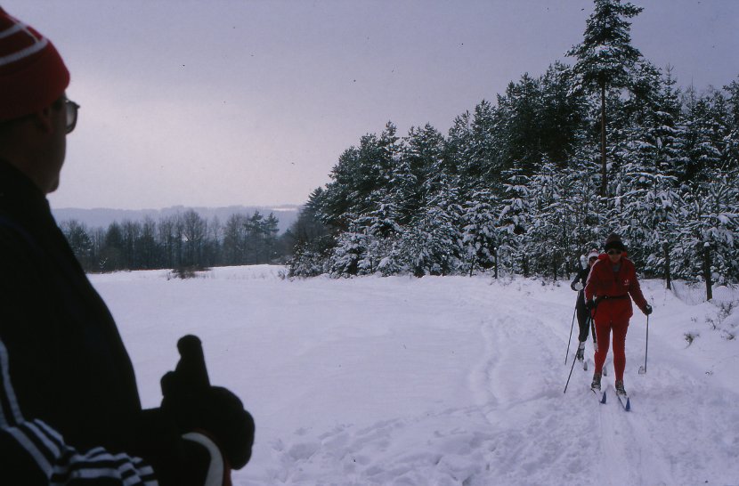 1981 Langlauf Gunthersried_0002
